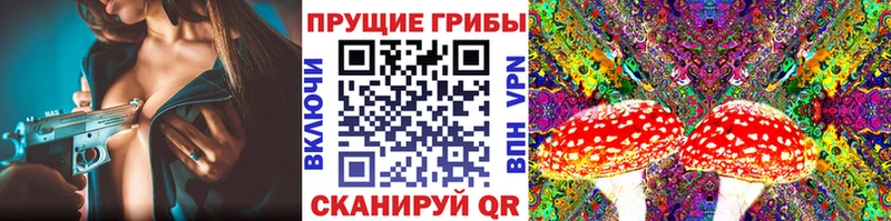 где можно купить наркотик  Батайск  Псилоцибиновые грибы Psilocybine cubensis 